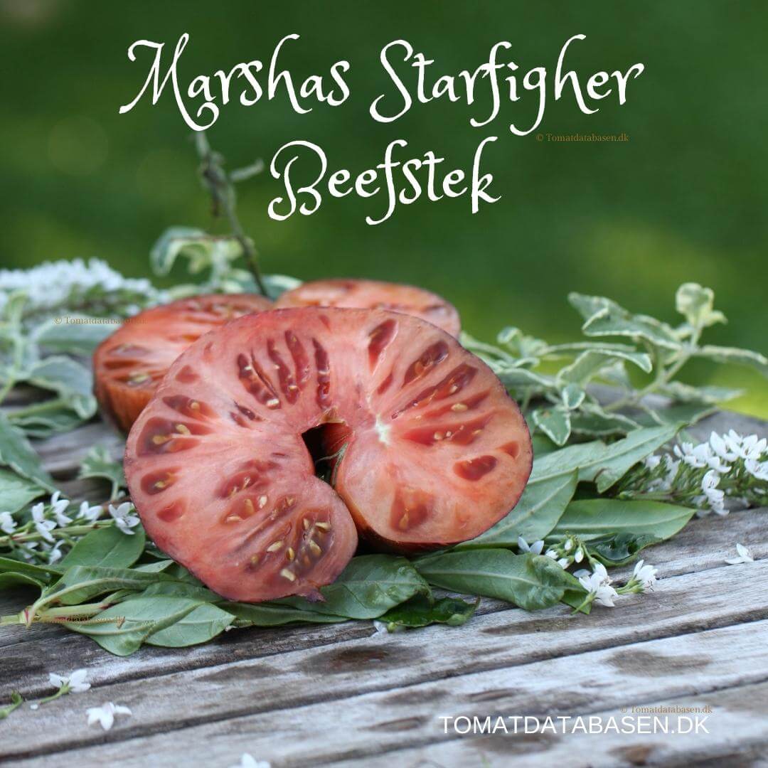 Marsha's Starfighter Beefsteak